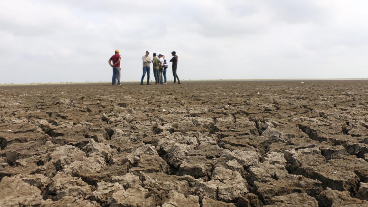 Cerca de 2.000 familias están riesgo alimentario por sequía en la Ciénaga Grande de Sucre. Foto: Defensoría del Pueblo.