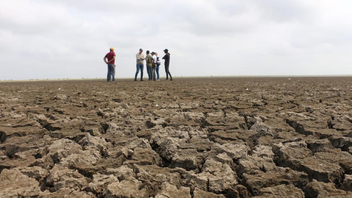 Cerca de 2.000 familias están riesgo alimentario por sequía en la Ciénaga Grande de Sucre
