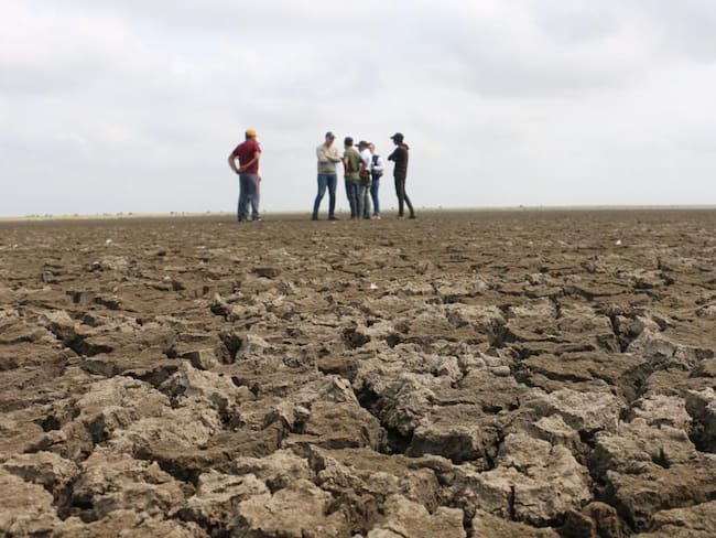 Cerca de 2.000 familias están riesgo alimentario por sequía en la Ciénaga Grande de Sucre. Foto: Defensoría del Pueblo.
