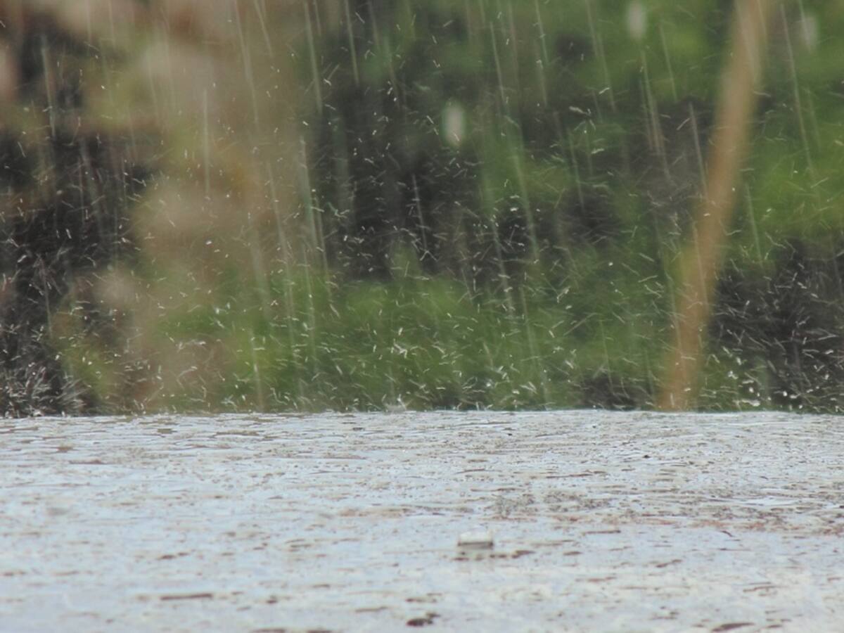 Emergencias por lluvias: arroyo se desbordó en el sur del Atlántico