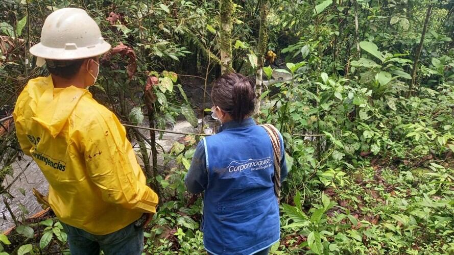 La entidad ambienta constató que en el sector resultó contaminada vegetación en por lo menos 30 metros lineales y la mancha superficial de crudo avanzó por lo menos 1 kilómetro aguas abajo.. Foto: Corporinoquia
