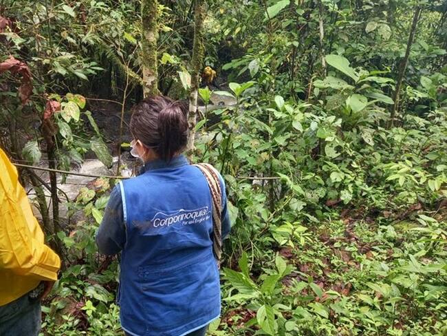La entidad ambienta constató que en el sector resultó contaminada vegetación en por lo menos 30 metros lineales y la mancha superficial de crudo avanzó por lo menos 1 kilómetro aguas abajo.. Foto: Corporinoquia