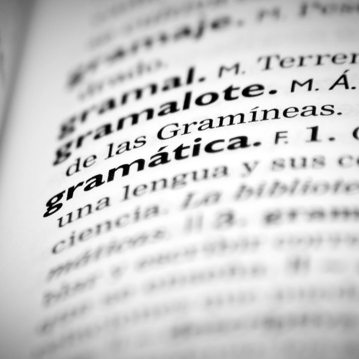 ¿Lo sabía? Esta es la palabra que tiene más significados en el español: solo tiene 5 letras