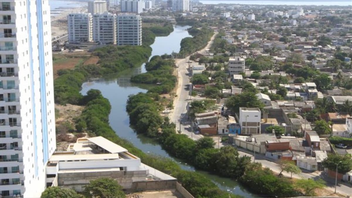 Masacre ambiental en Cartagena, concejales piden protección especial de los mangles