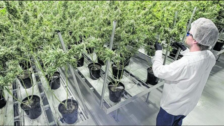 Imagen de referencia. Foto: Captura de pantalla