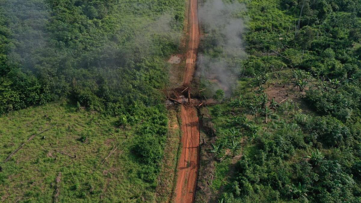 Infraestructura destruida en Guaviare que originó secuestro, facilitaba deforestación