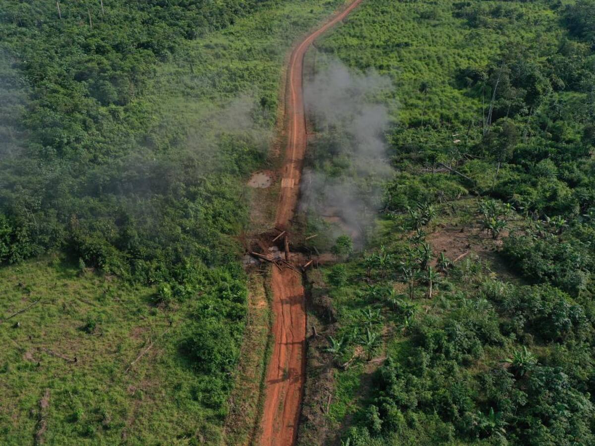 Infraestructura destruida en Guaviare que originó secuestro, facilitaba deforestación
