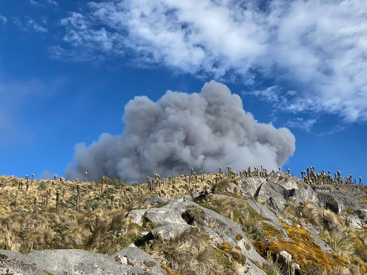 Tras cambio de actividad en el Volcán del Ruiz, reactivarán la economía en sus alrededores