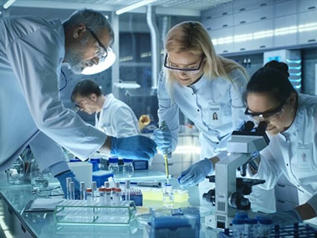 Científicos descubren que tenemos un segundo cerebro