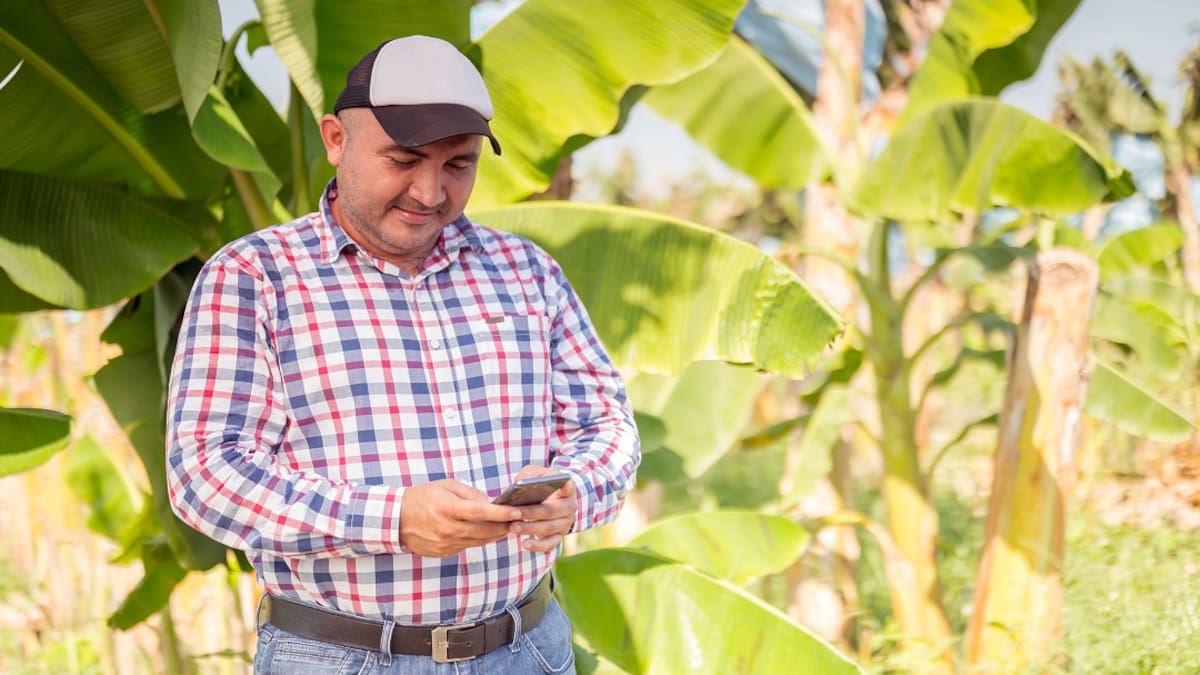 Valle del Cauca, conectando el campo con el mundo digital