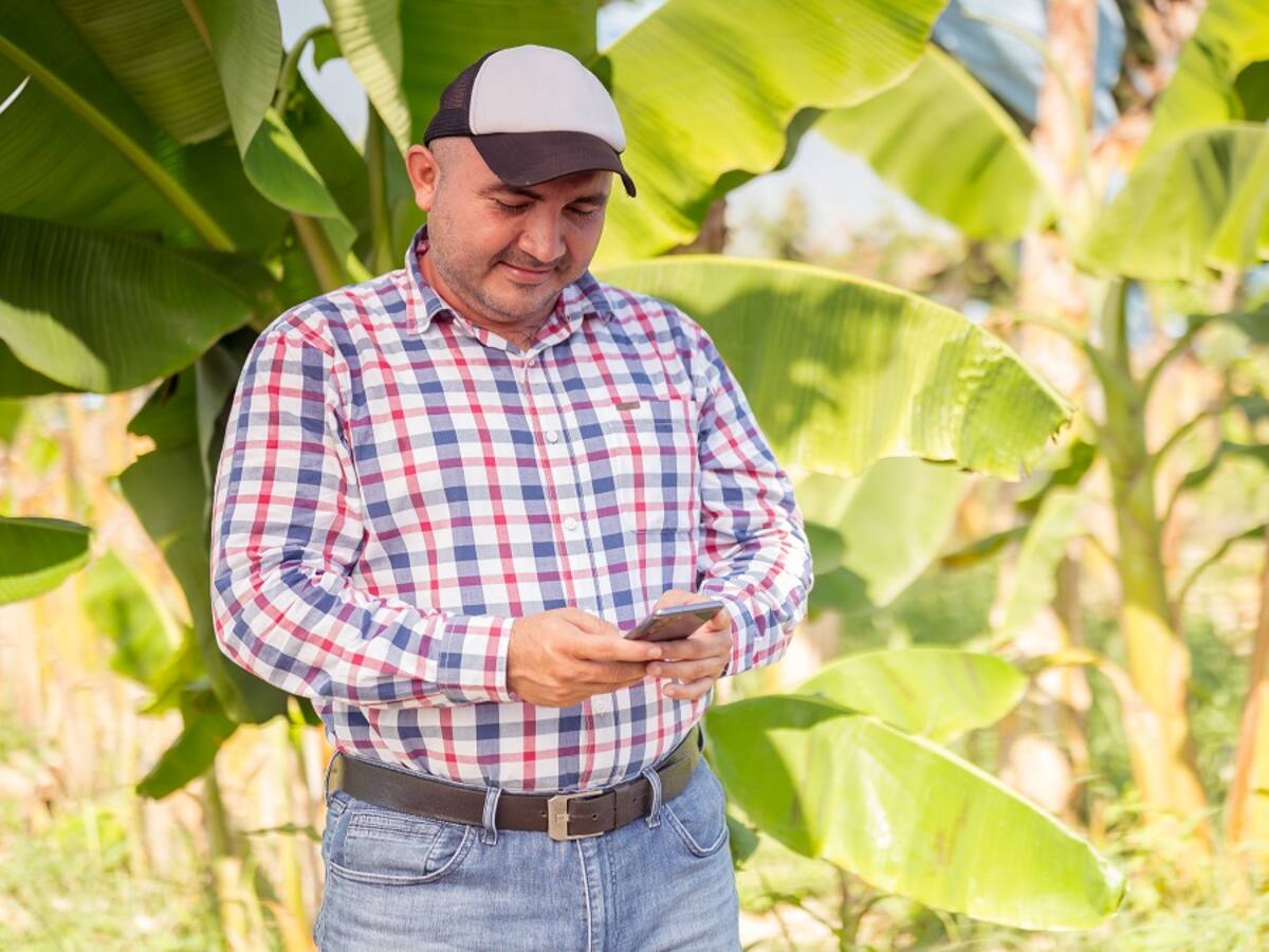 Valle del Cauca, conectando el campo con el mundo digital