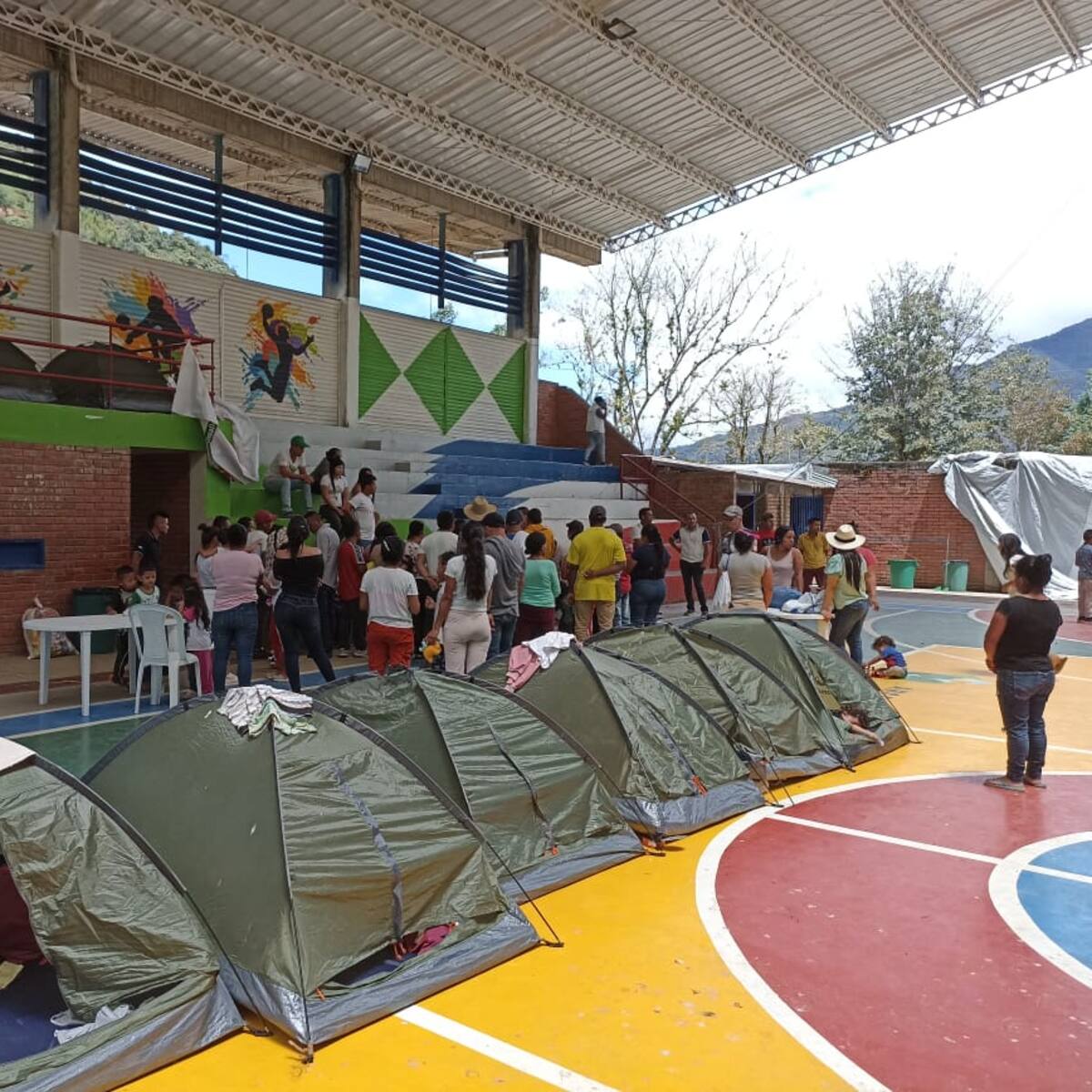 Más de 1.000 desplazados dejan los combates entre disidencias y Ejército en Argelia, Cauca