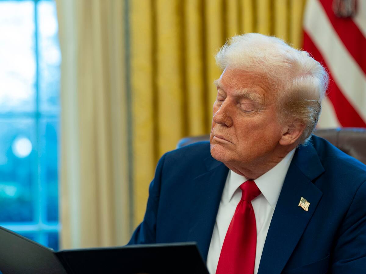 Trump busca que Ucrania entregue a EE.UU. tierras raras a cambio de ayuda