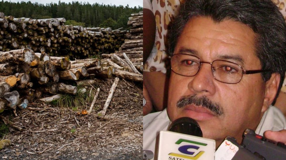 JEP ordena suspensión de operaciones de la RIA en tierras despojadas a campesinos en Urabá