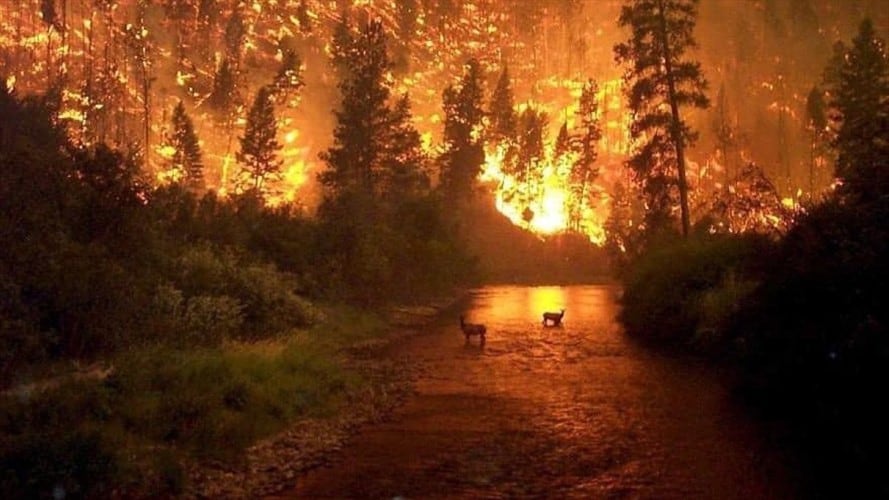 Las fotos falsas del incendio en la Amazonía. Foto: