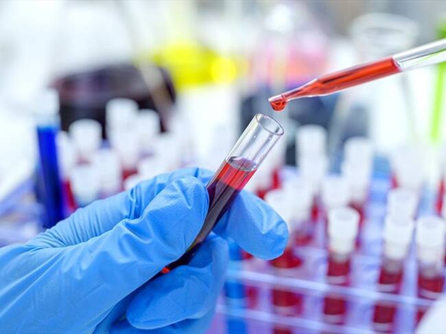 quien donó las células madre tiene una mutación en sus genes que le permite a los glóbulos blancos inhibir el VIH. Foto: Getty Images