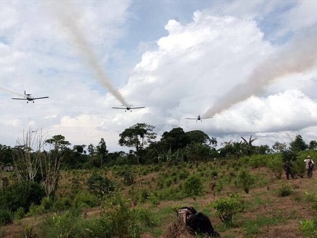 Corte daría un no rotundo a la fumigación aérea con Glifosato . Foto: Colprensa