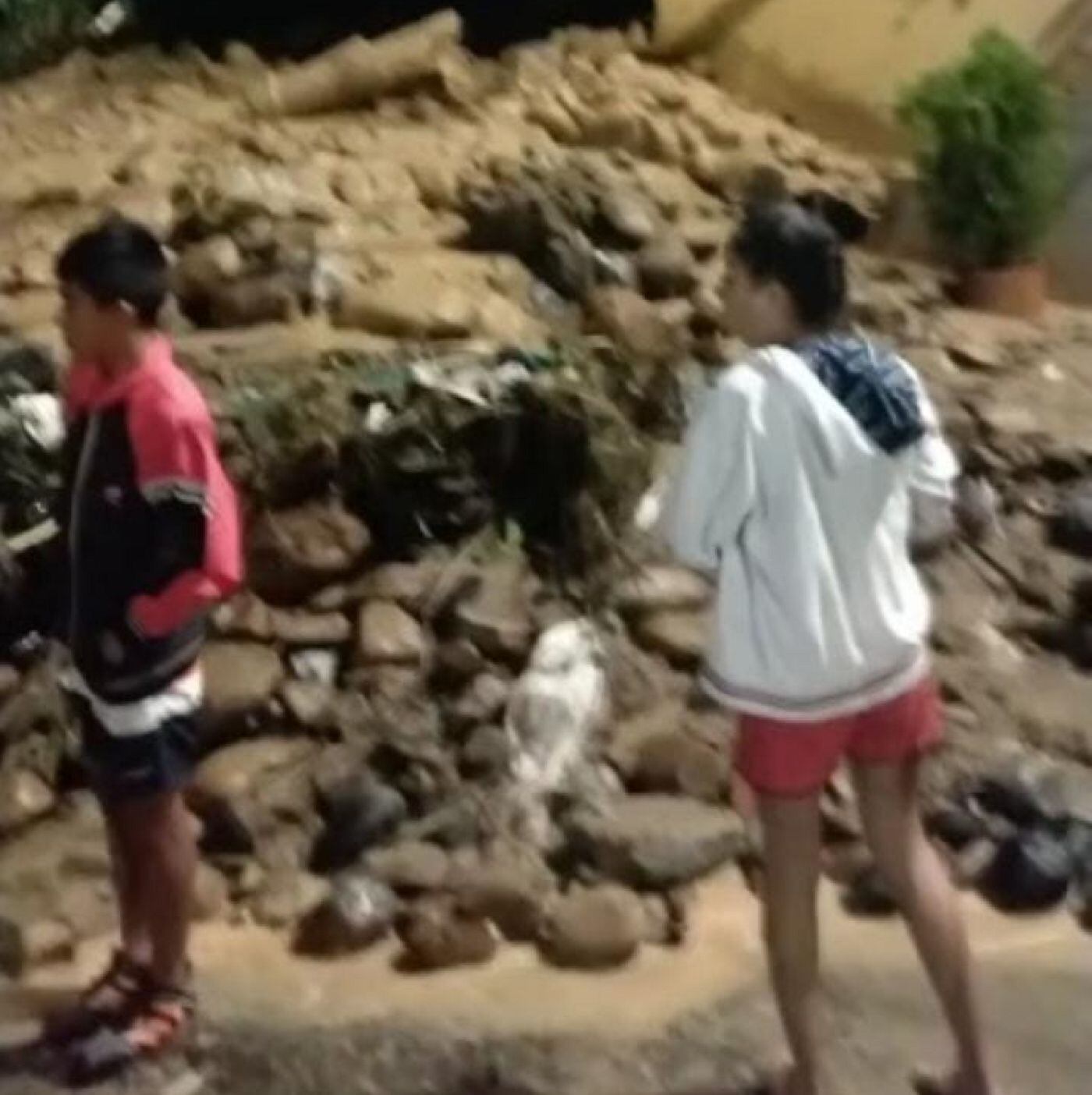 Emergencias lluvias / cortesía