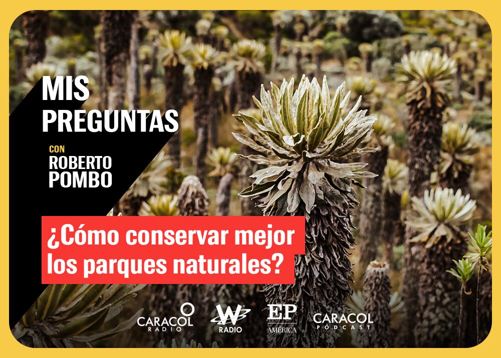 Mis Preguntas, con Roberto Pombo. Foto: W Radio.