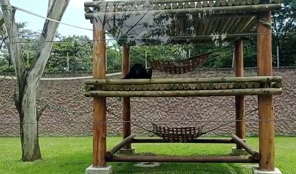 Foto: Archivo Caracol Radio - W Radio