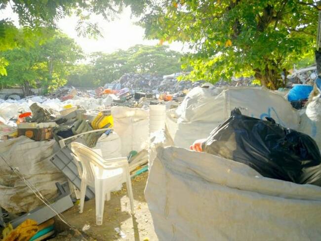 El proyecto inició de la mano con el PNUD (Programa de las Naciones Unidas para el Desarrollo), fue beneficiado por una serie de patrocinios.. Foto: Sergio Vásquez/El Caribe Respira