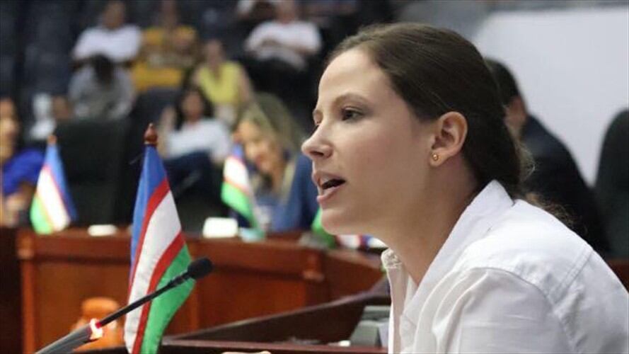 Diana Rojas del partido Liberal, señaló que son ocho los articulos que estan bajo la lupa de la corporación. Foto: Cortesía