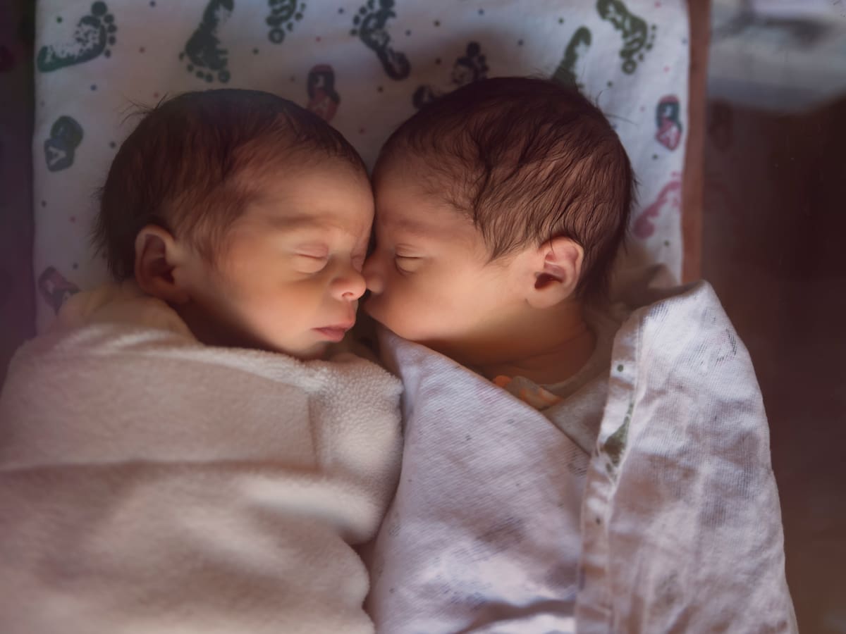 ¿Qué diferencias hay entre gemelos y mellizos? Explicación científica