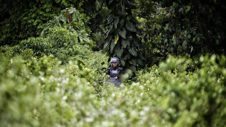 Un campesino muerto y tres heridos dejan enfrentamientos en Tierralta, Córdoba