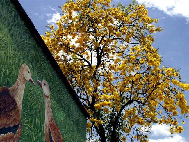 Denuncian que a niños con discapacidad no se les permitió almorzar en el Zoológico de Cali