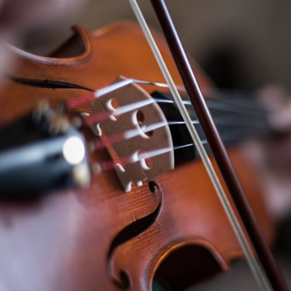 ‘SE4SONS’, el nuevo disco de la violinista Lina Tur que contrapone a Vivaldi y Piazzolla