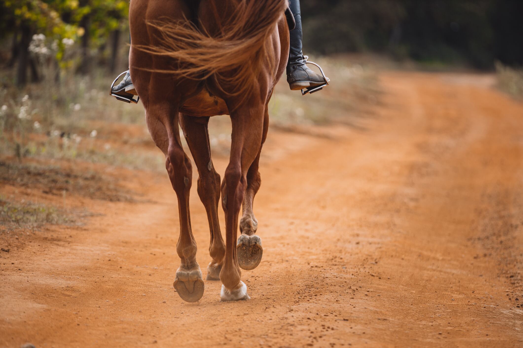 Imagen de referencia de mujer cabalgando. Foto: Getty Images.