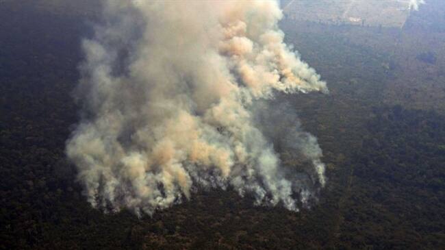 El decreto que prohíbe la quema en Brasil enfatizó que solo se podrá realizar esta práctica cuando sea "imprescindible" en los procesos agrícolas. Foto: Getty Images