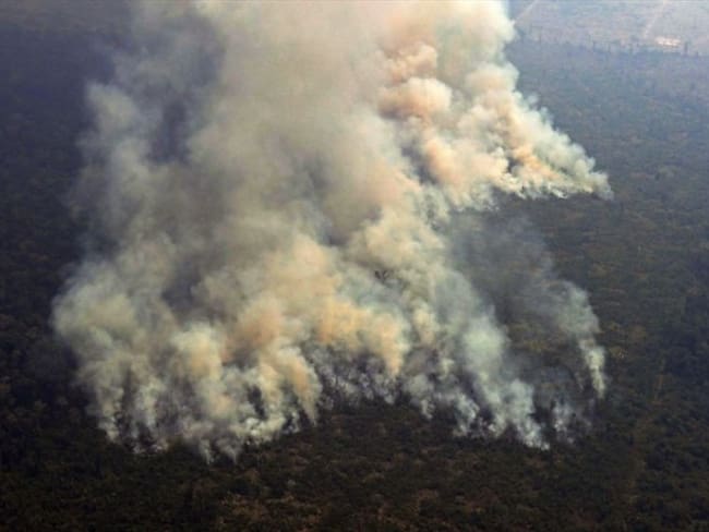El decreto que prohíbe la quema en Brasil enfatizó que solo se podrá realizar esta práctica cuando sea &quot;imprescindible&quot; en los procesos agrícolas. Foto: Getty Images