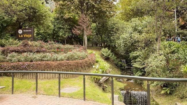 Quebrada La Vieja. Foto: Foto tomada de https://bogota.gov.co/