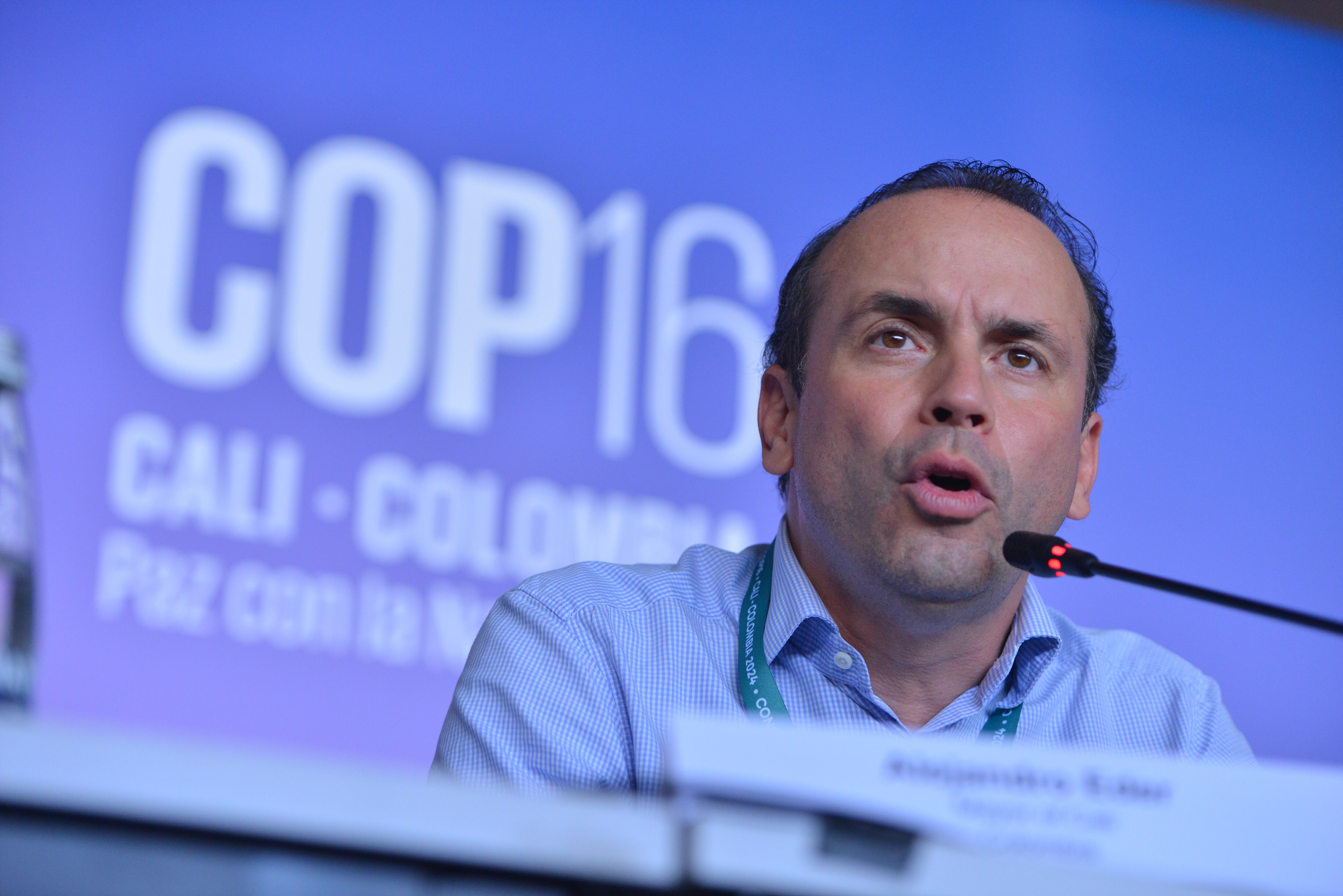 Alejandro Eder. Foto: Gabriel Aponte/Getty Images.