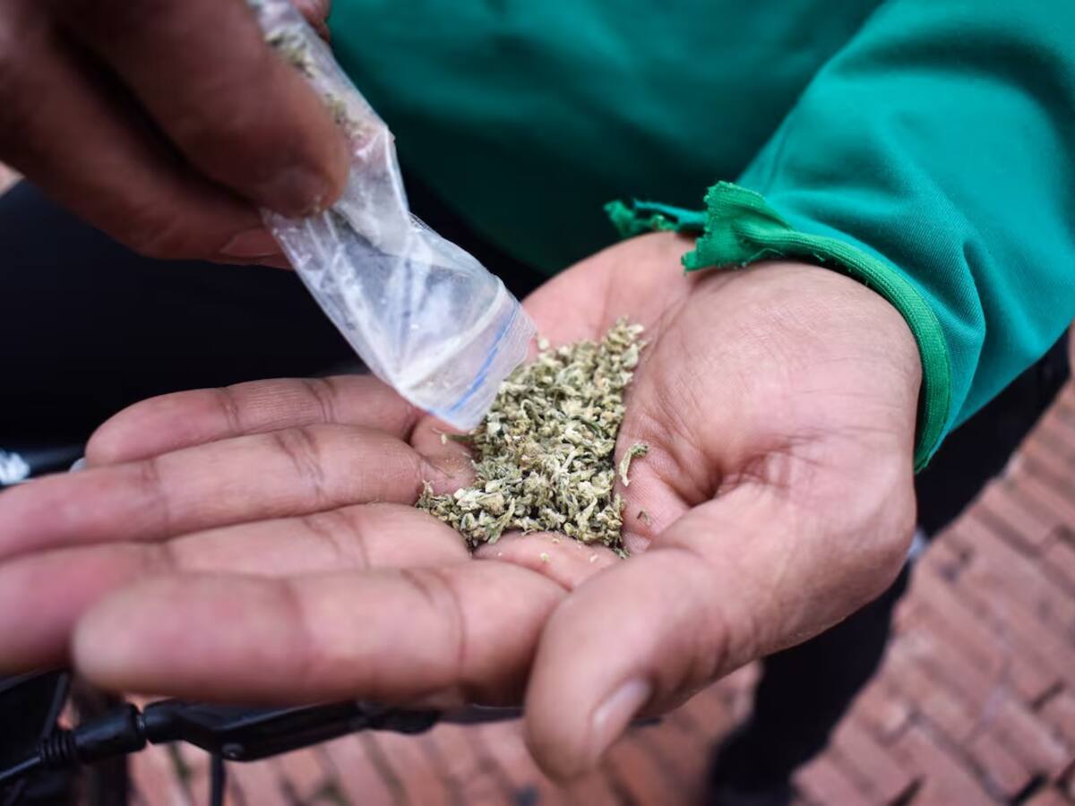 Demandan decreto que prohíbe porte y consumo de estupefacientes en Pereira