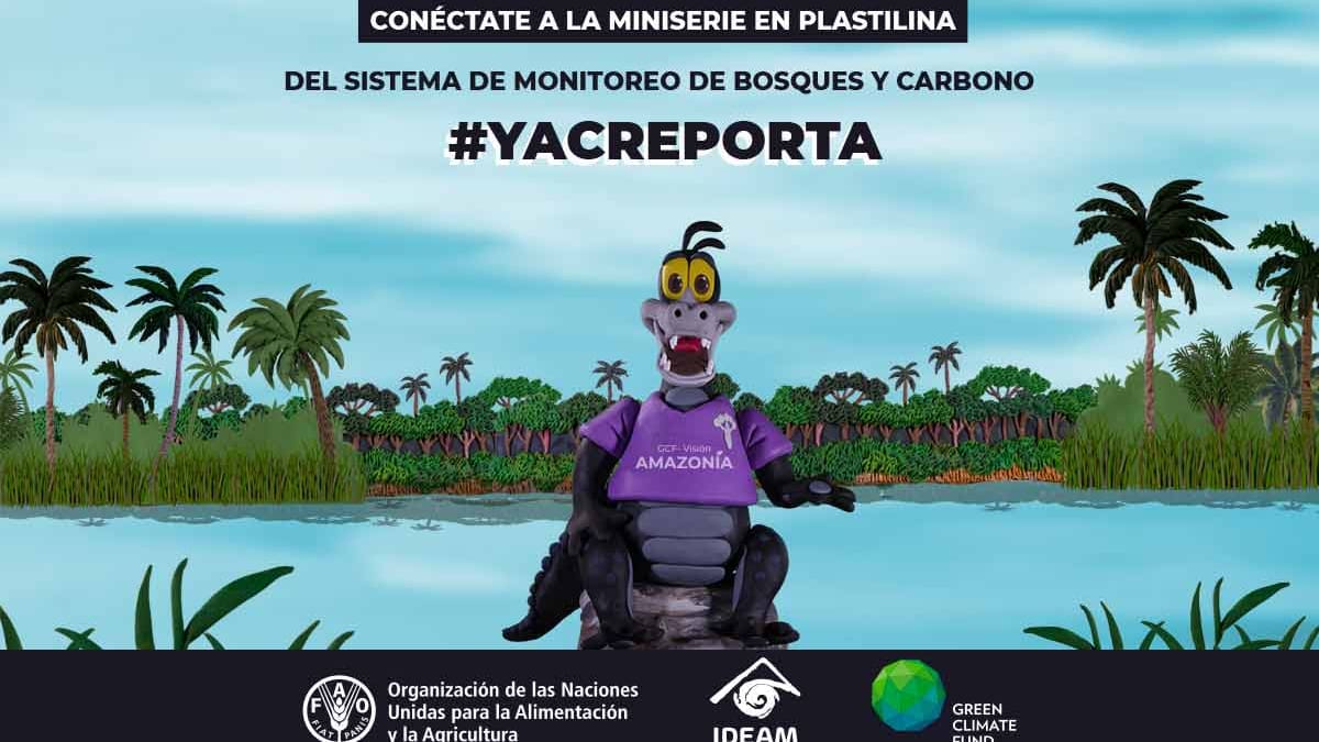 Así es la miniserie en plastilina que enseña a proteger los bosques en Colombia