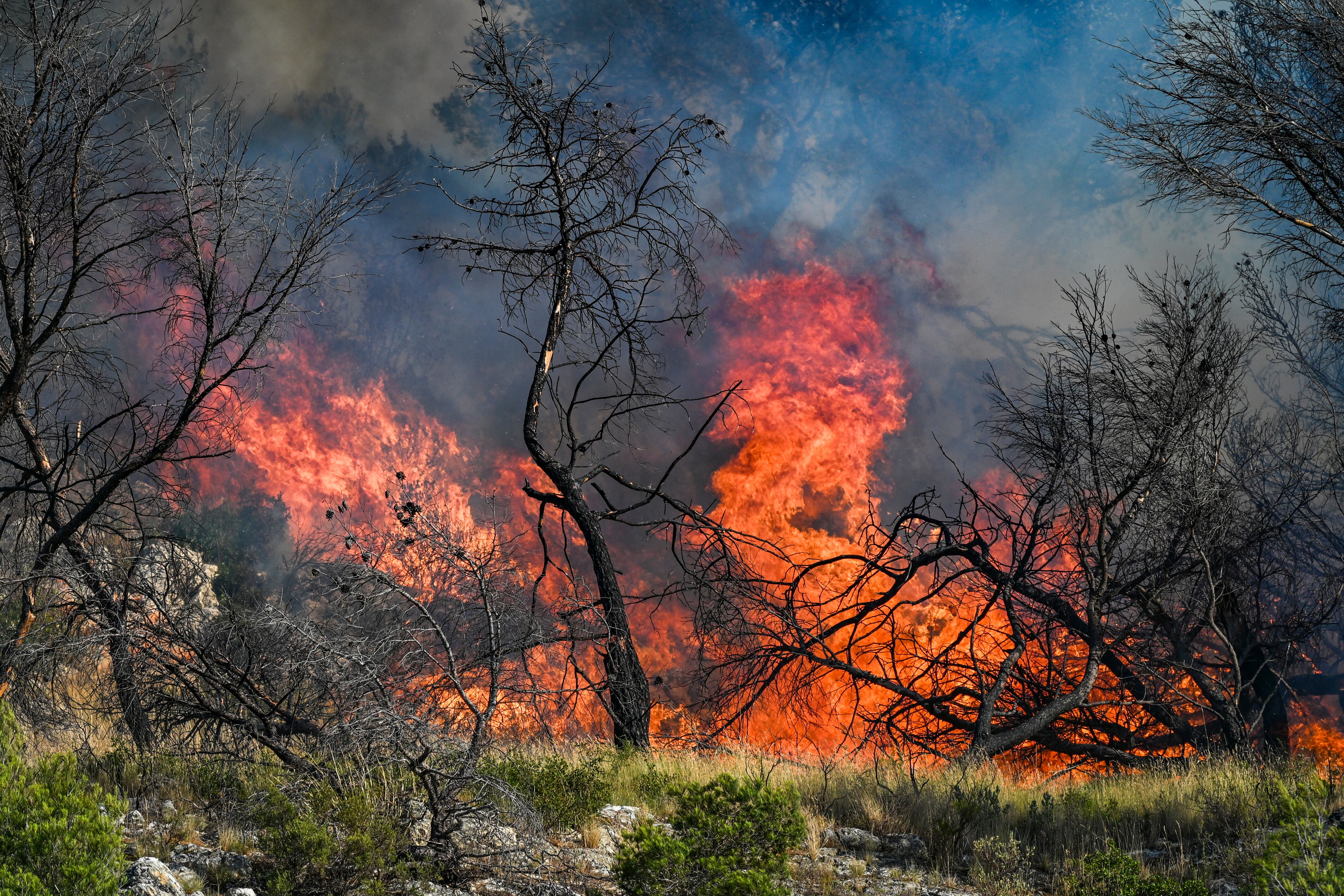 Les Pennes-Mirabeau (France), 08/07/2025.- A wildfire rapidly expands due to strong winds near the city of Marseille, France, 08 July 2025. Local authorities announced flight suspensions at the airport of Marseille Marignane and started evacuating houses near Les Pennes-Mirabeau. Over 160 firefighters, helicopters and emergency vehicles are fighting the flames fanned by winds up to 70 km/h. (incendio forestal, Francia, Marsella) EFE/EPA/PHILIPPE MAGONI