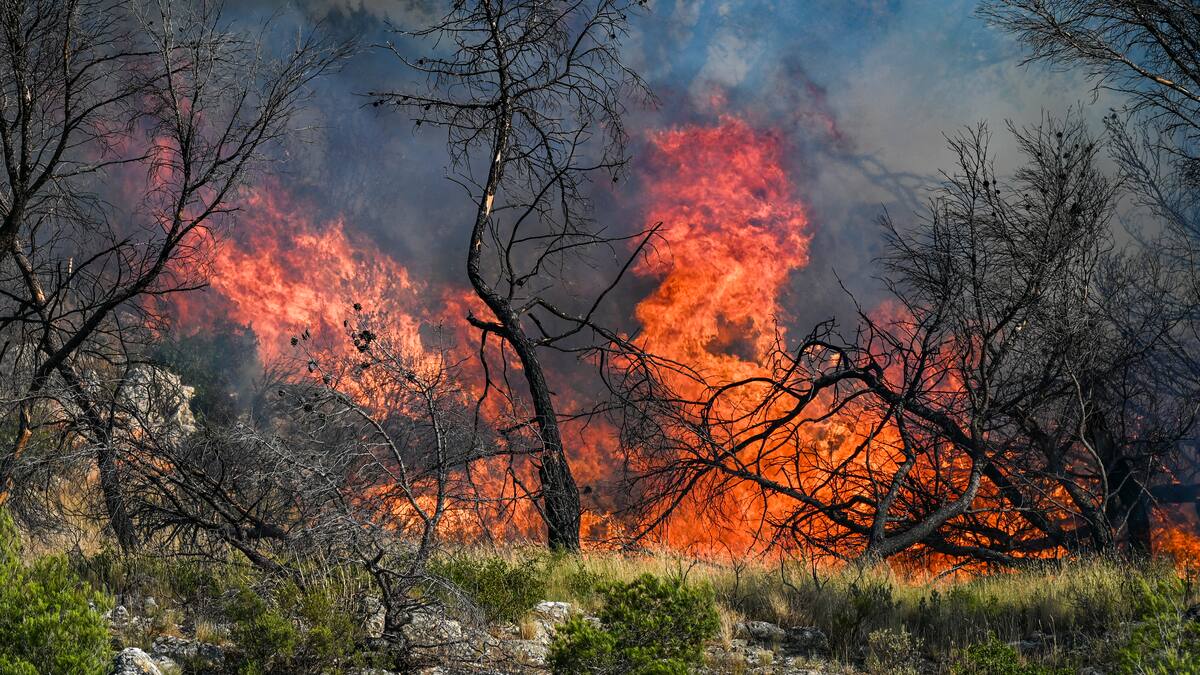 Ideam emite alerta roja en municipios del Atlántico por riesgo de incendios forestales