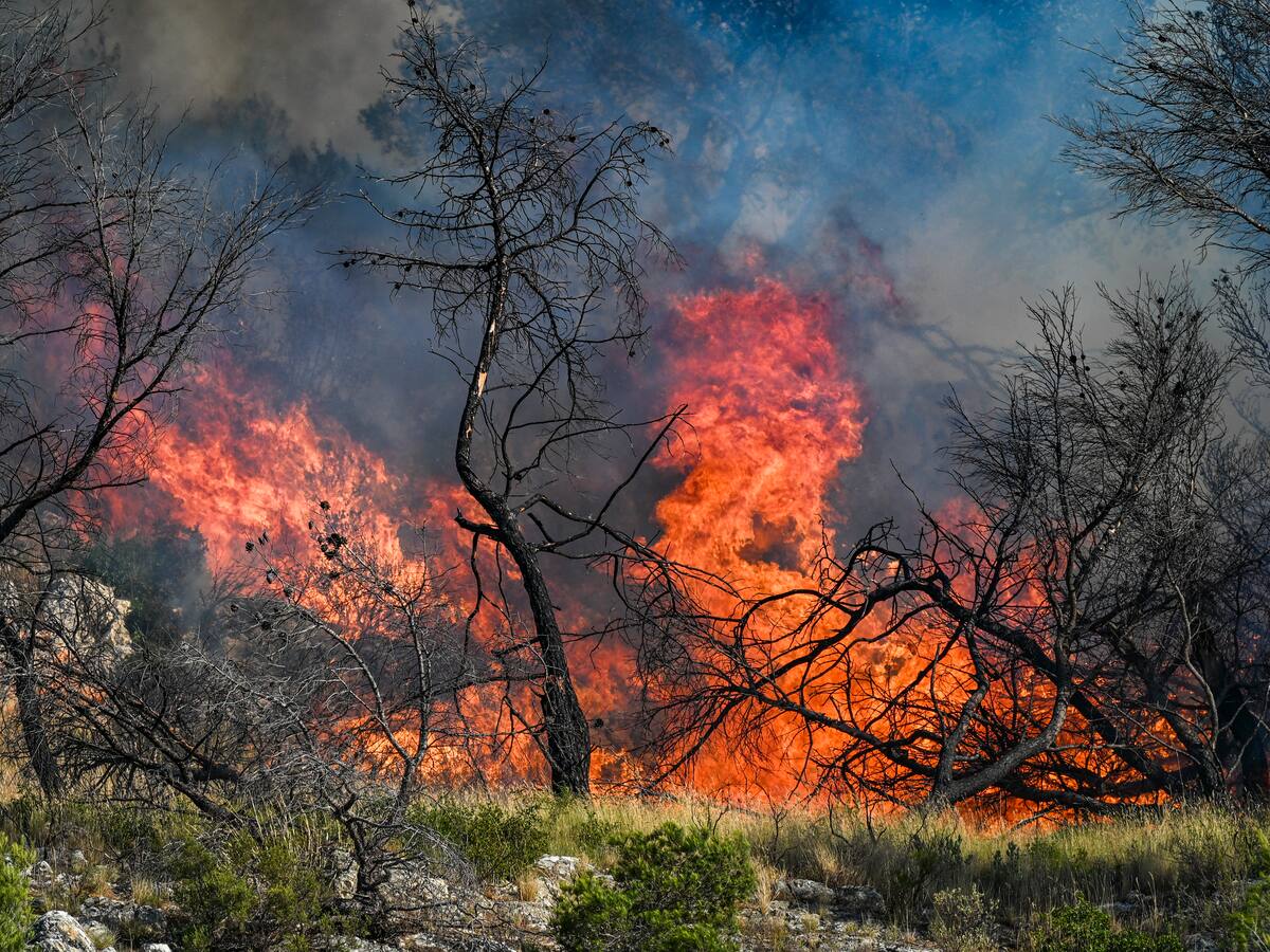 El fuego en Marsella sigue activo, pero bajó en intensidad y desconfinan a los vecinos