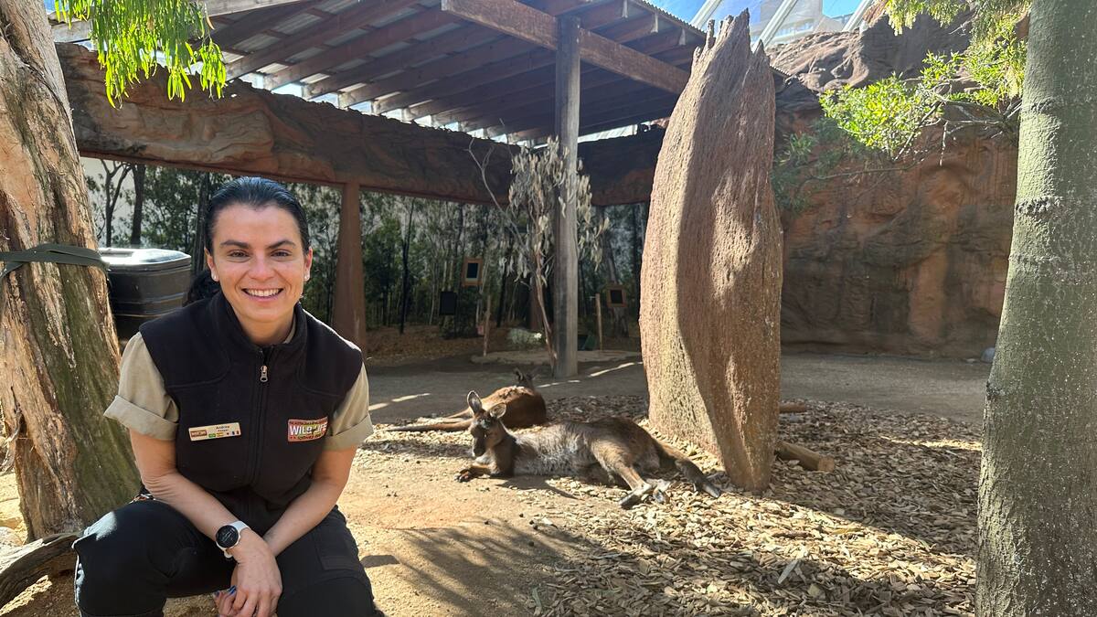 WILD LIFE Sydney Zoo y su papel en la conservación de especies animales: ¿cuál es?