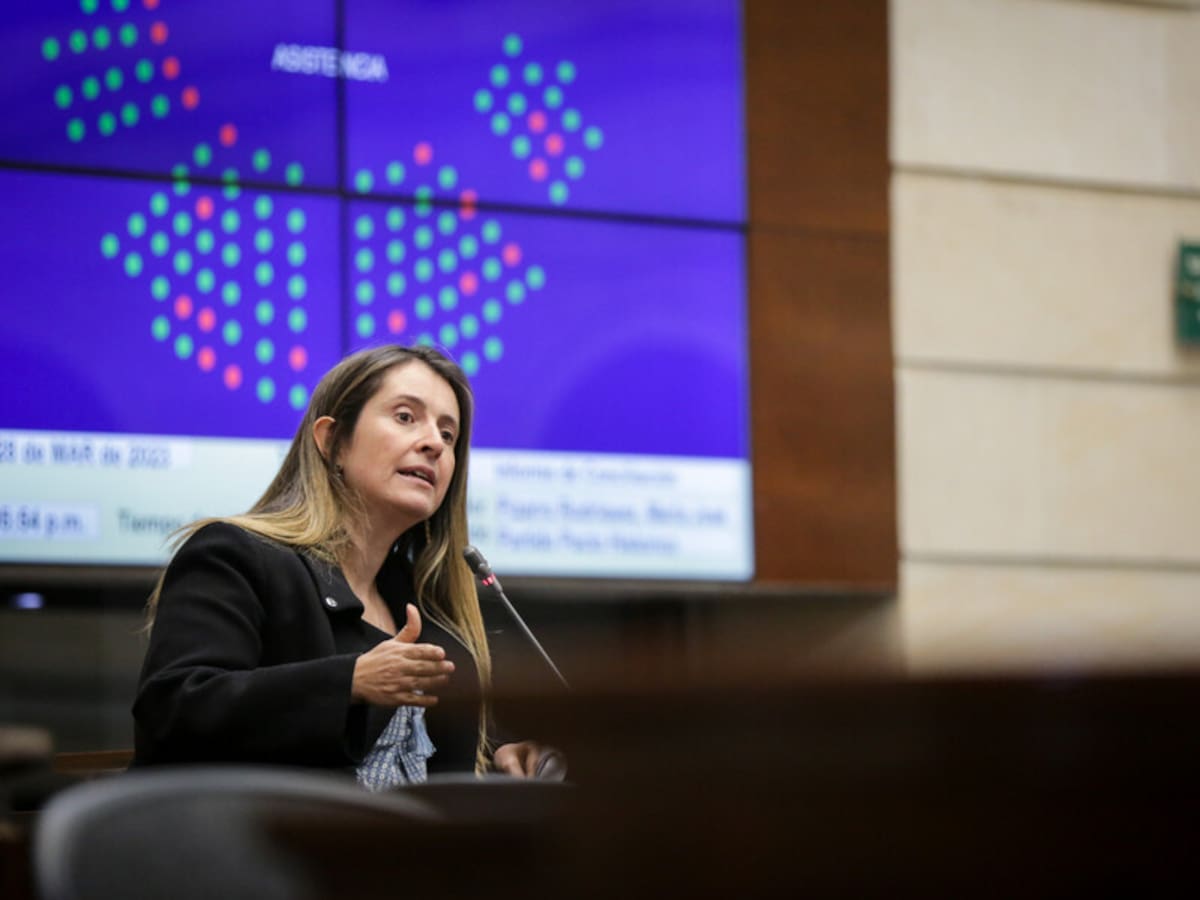 Paloma Valencia responde a alocución del presidente Petro por sus dos años de mandato