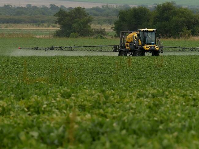 Frente a la Corte Constitucional se presentan protestas por audiencia del glifosato