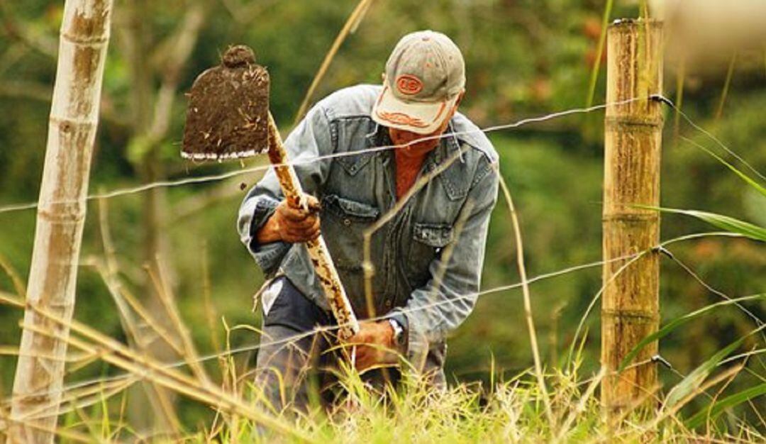 Campesino labrando la tierra