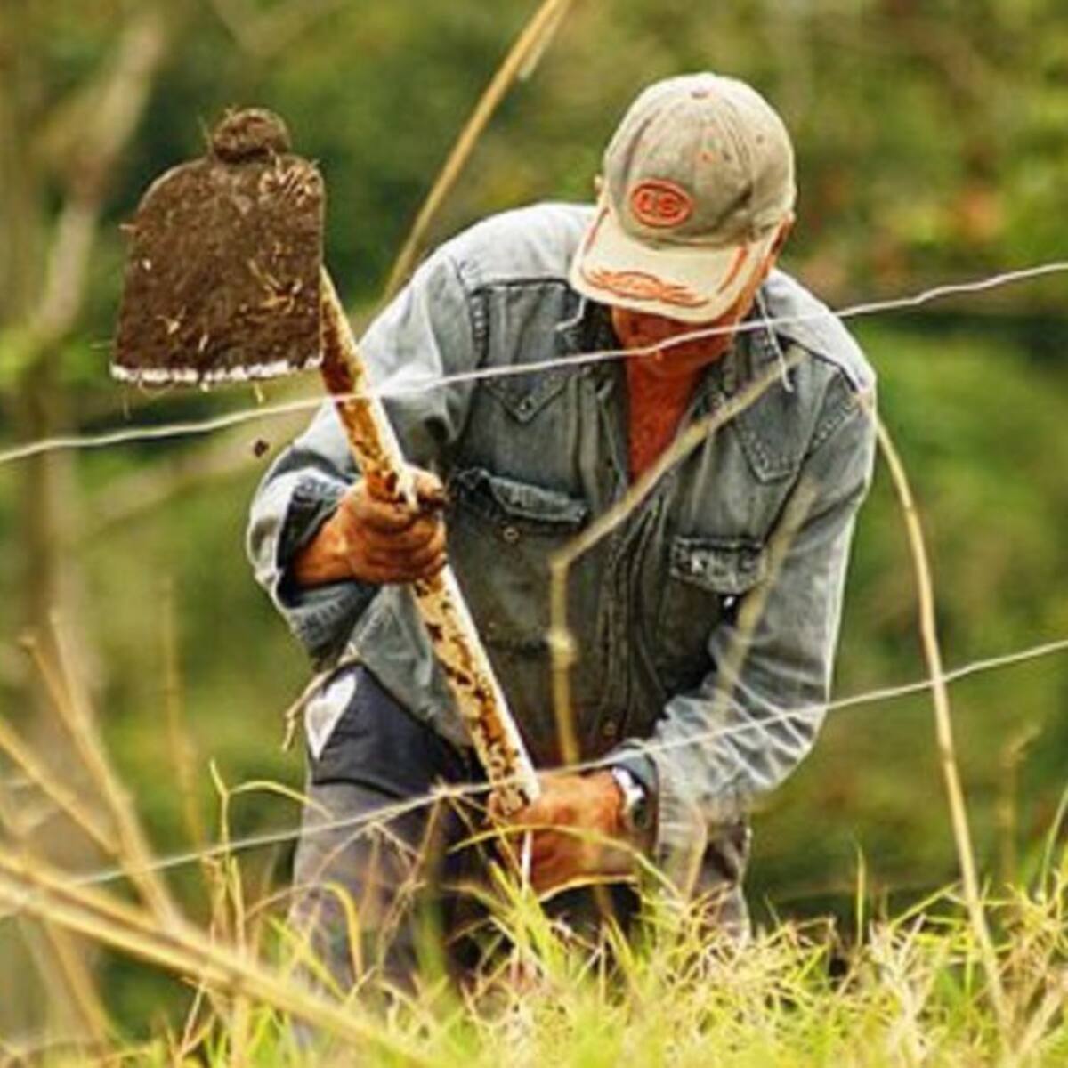 Solo se ha cumplido con 16% de adjudicación de tierras previsto en el Acuerdo de Paz