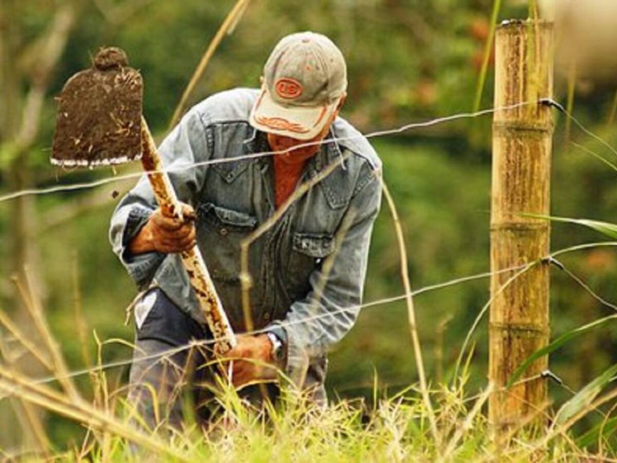 Solo se ha cumplido con 16% de adjudicación de tierras previsto en el Acuerdo de Paz