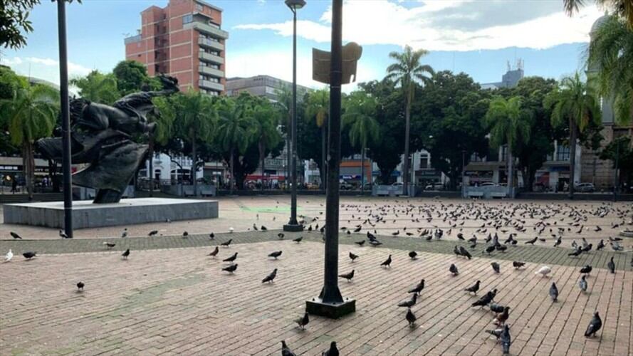 Medidas restrictivas en Risaralda para fin de año. Foto: Oficial (Alcaldía de Pereira)