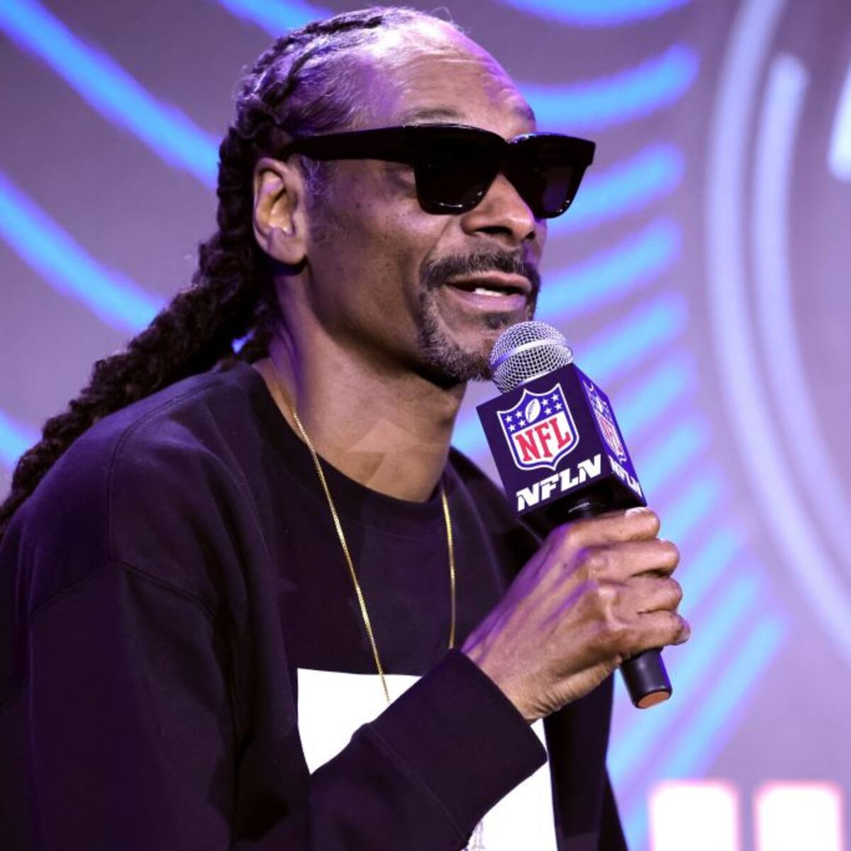 Snoop Dogg fue demandado por agresión sexual