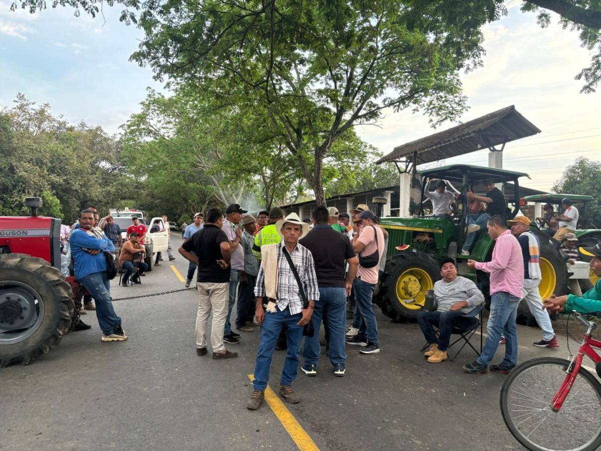 Cómo va el PARO arrocero hoy en Colombia 🔴: Bloqueos y principales vías del país EN DIRECTO