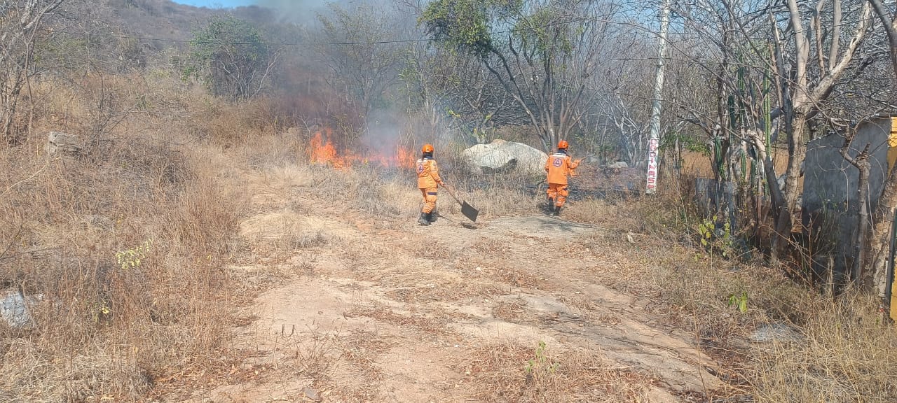 Incendio forestal/ Gobernación del Magdalena